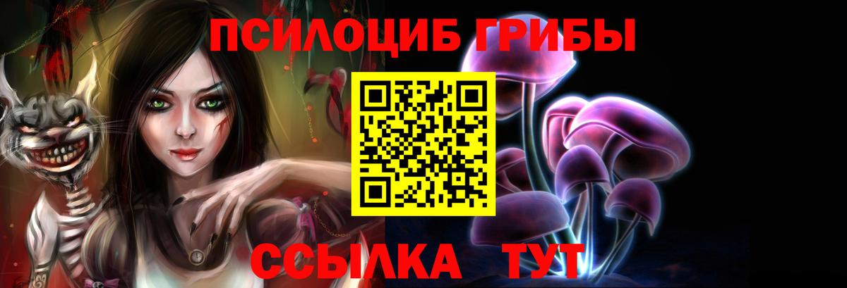 купить наркотик  Вход с VPN  Шелехов  Галлюциногенные грибы Cubensis 